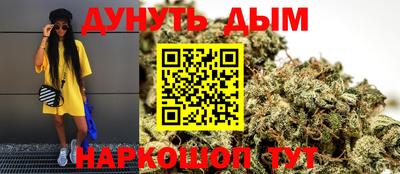 индика Обь